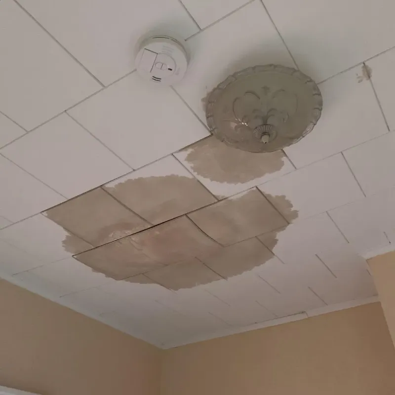 Ceiling Water Damage Repair in Elsmere, DE