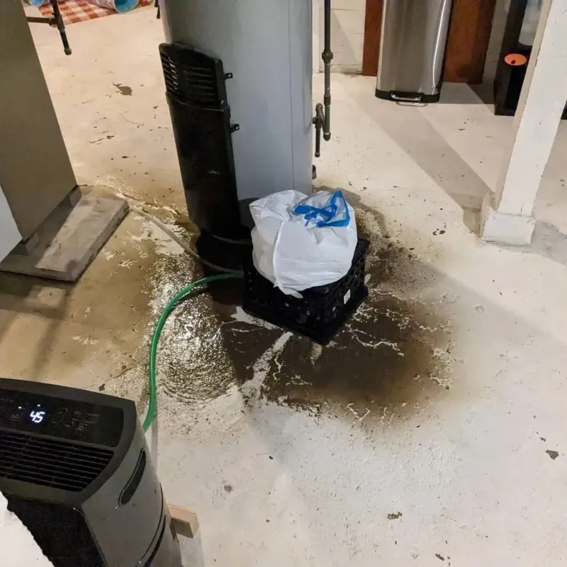 Sewage Backup Cleanup Service in Elsmere, DE